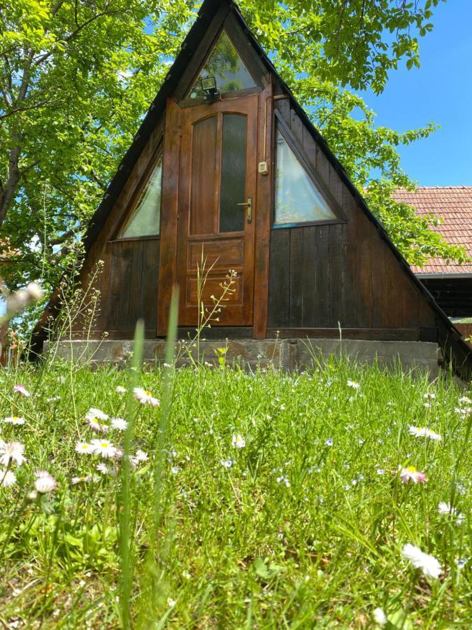 Sziklakert - Életöröm Vendégház Rimetea Esterno foto