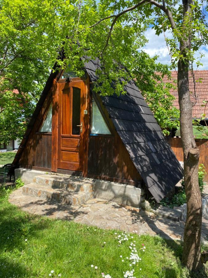 Sziklakert - Életöröm Vendégház Rimetea Esterno foto